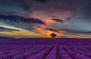 blog-list-img
